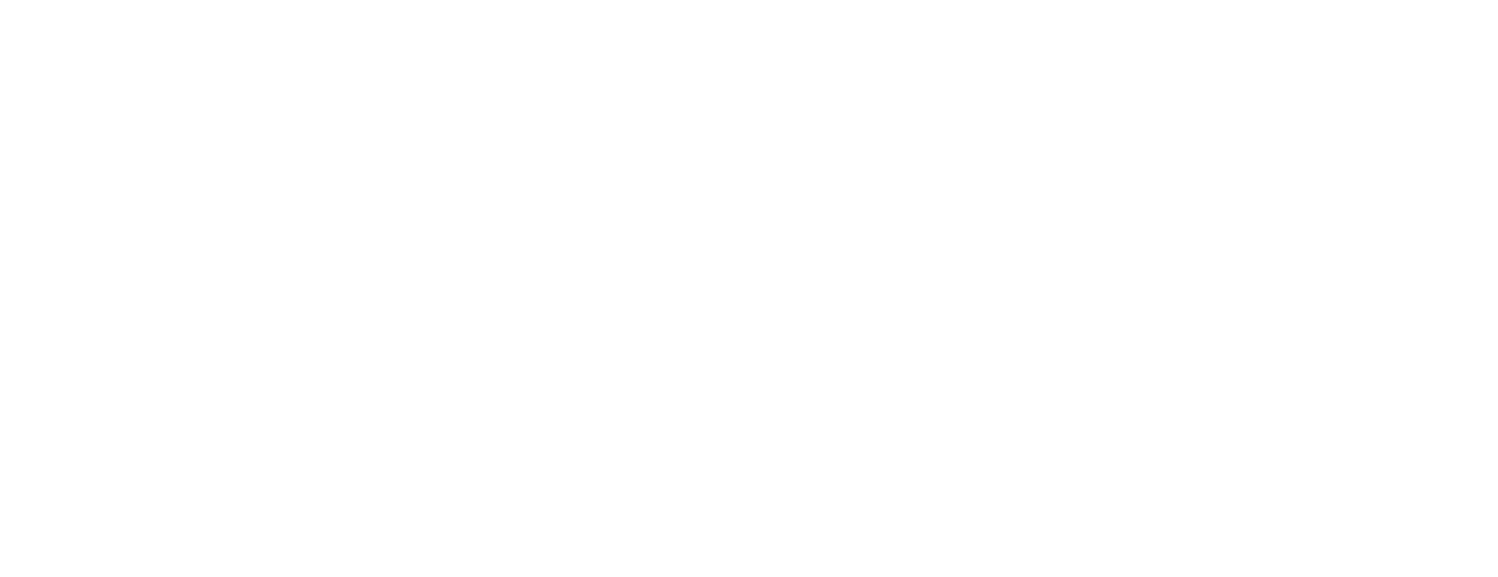 Baden-Württemberg Stiftung