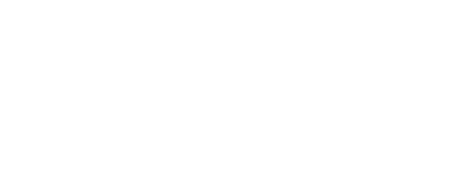 Mühlacker Tagblatt